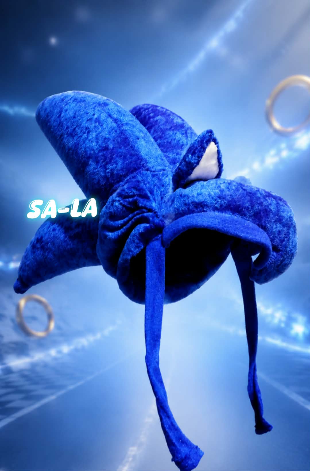 Sonic hat